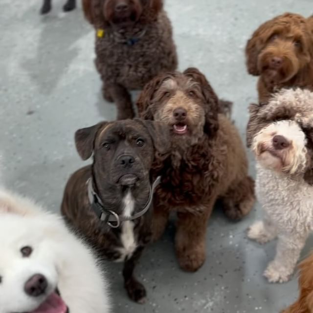 Group play, mixed sizes